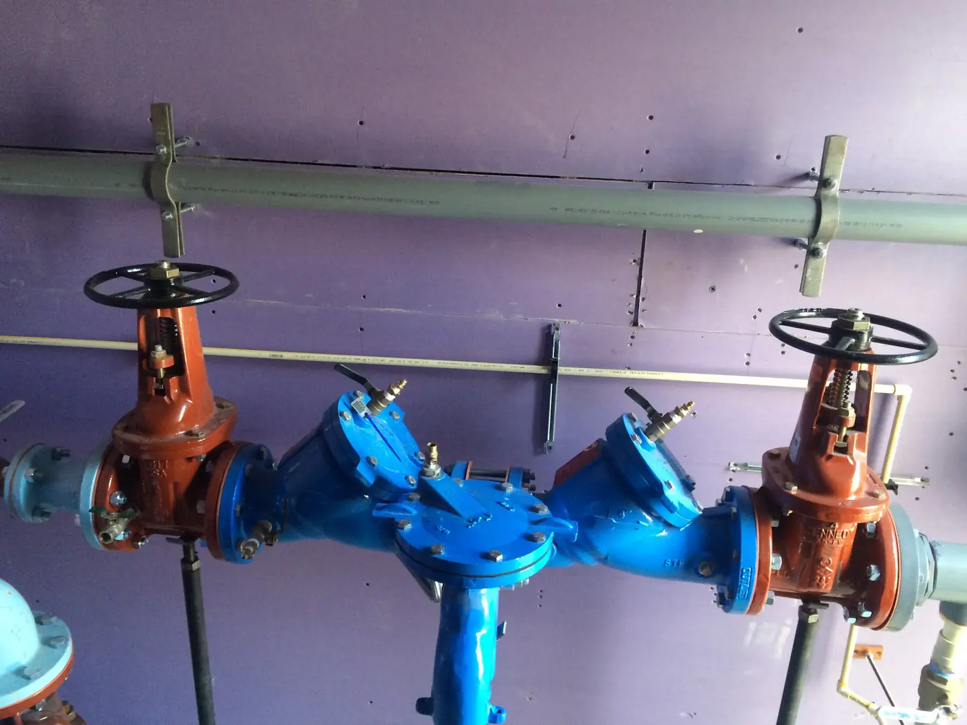 Close view of the parallel backflow preventer assemblies, test cocks and gate valves