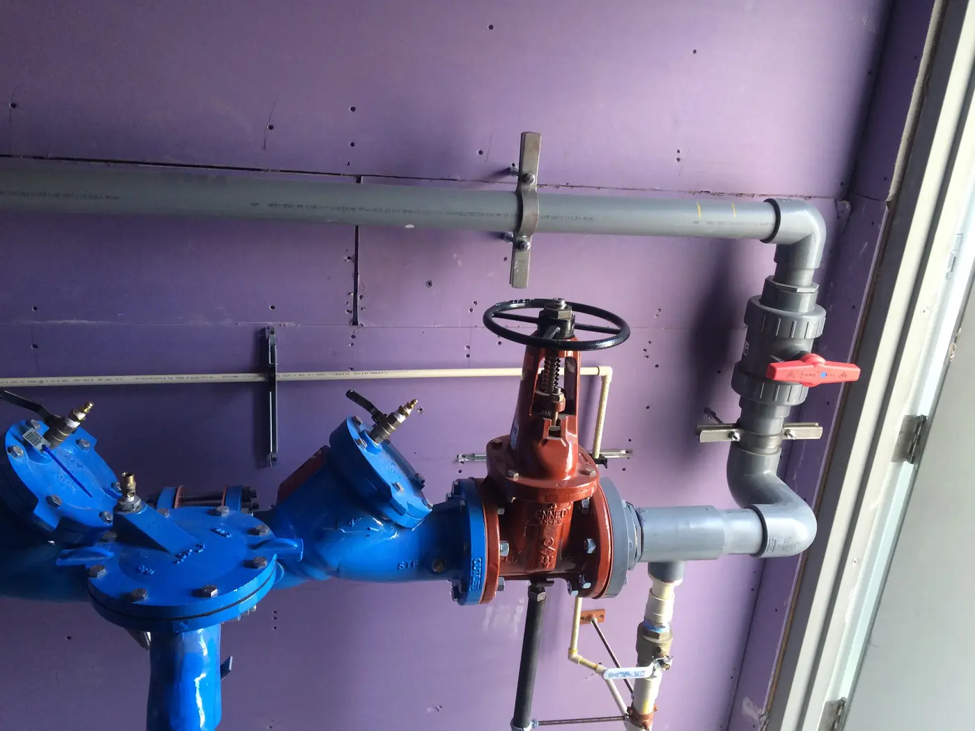 Backflow preventer assembly connection into the building's overhead water piping