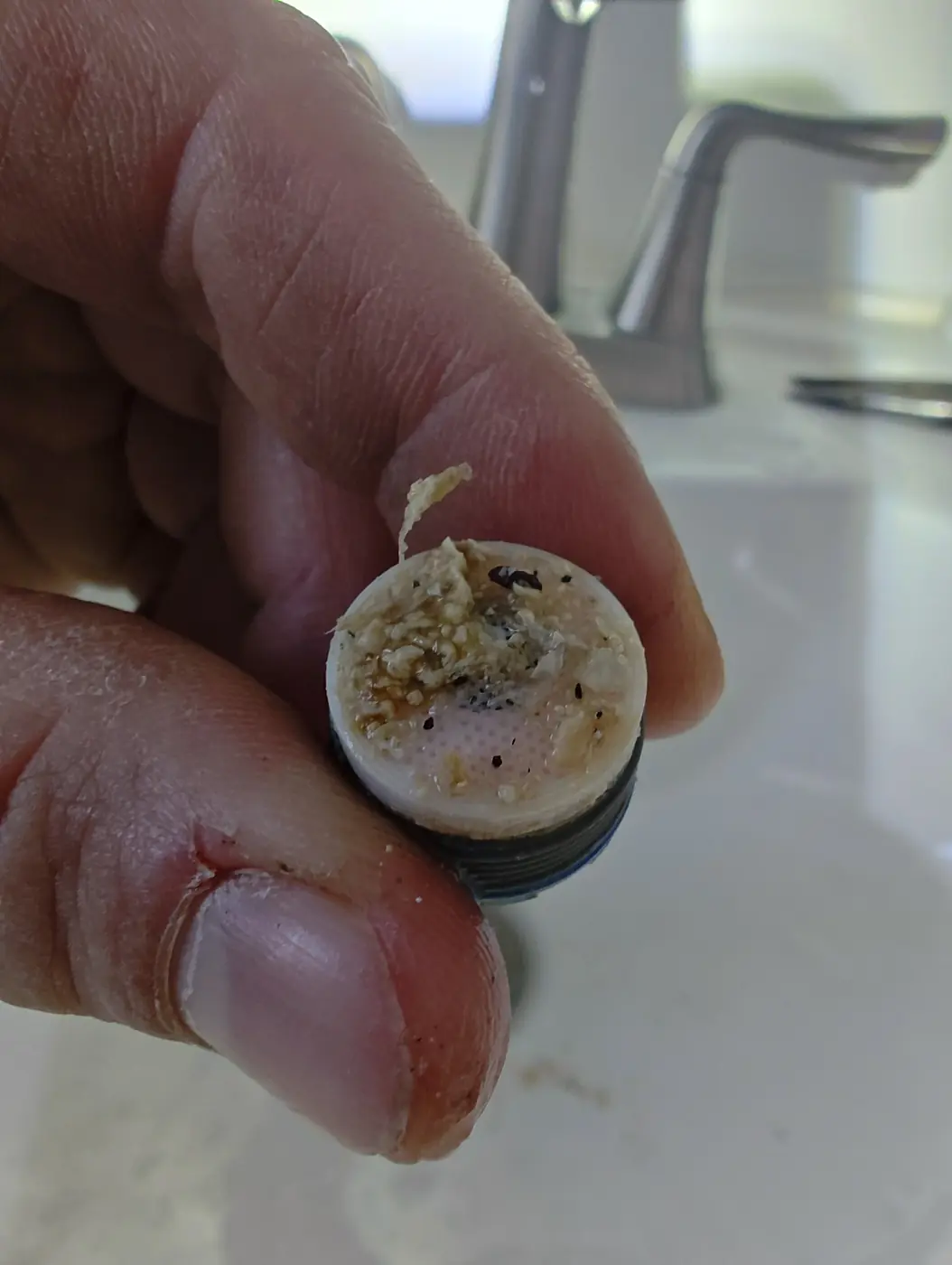 Faucet aerator screen packed with mineral scale and sediment, removed during a service call